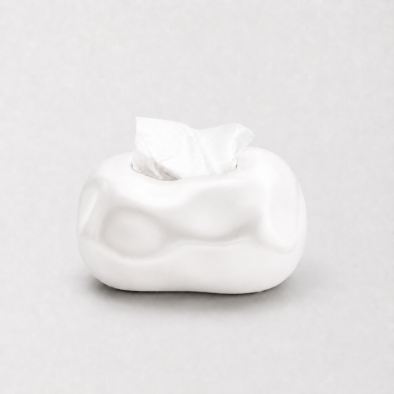 Sculptural Tissue Box Holder