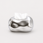 Sculptural Tissue Box Holder